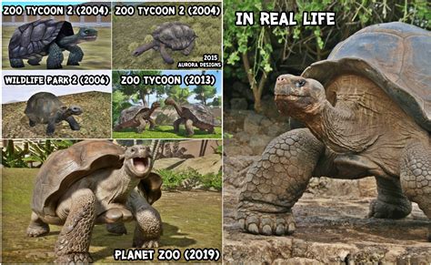 Evolution of Giant Galapagos Tortoise in Zoo Games : r/PlanetZoo