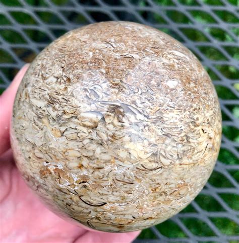 79mm Fossil Stone Jasper Sphere Orb Ball Mineral Display Specimen