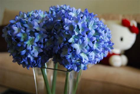 File:Blue flowers in glass vase, Hello Kitty on couch in background.jpg - Wikimedia Commons