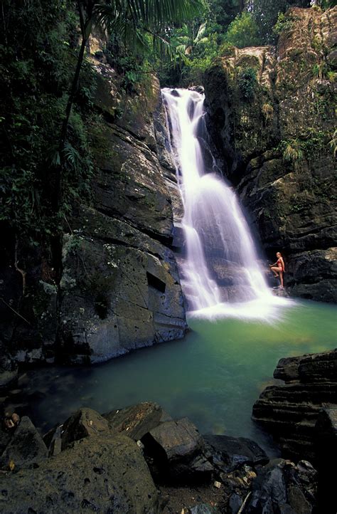 El Yunque travel - Lonely Planet