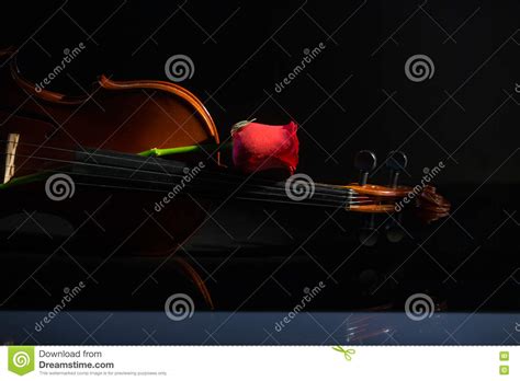 Violin and Rose, Violin Orchestra Musical Instruments Stock Image - Image of classical ...