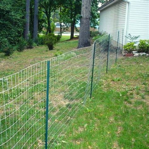 Dog Proof Fencing Ideas at Sarah Rutledge blog