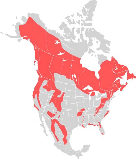 Black Bear Habitat Map