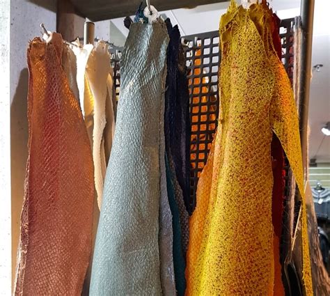 Fish skin for fashionistas: How this clever leather is hooking customers | CBC News