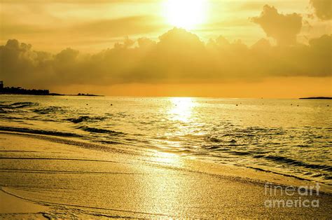 Golden sunset, Paradise island, Bahamas. Sunrise on Golden beach. Beautiful gold background ...