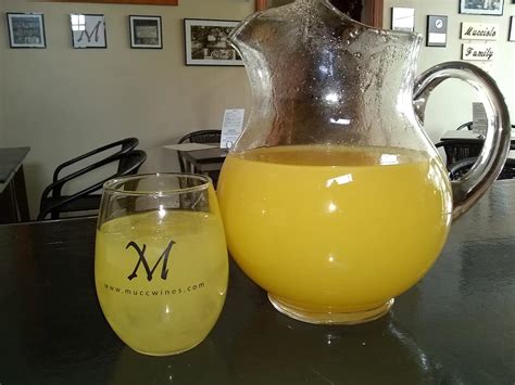 Mucciolo Winery Stemless Wine Glass with logo | Times Leader