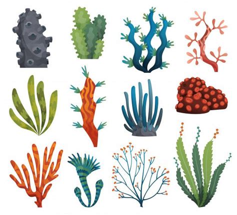 Premium Vector | Set of watercolor seaweed and corals isolated on white background. Underwater ...