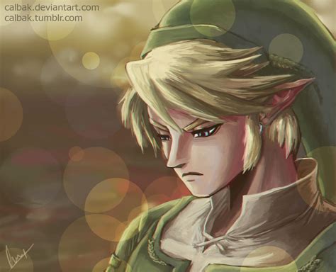 Link fan art (Twilight Princess) by Calbak on DeviantArt