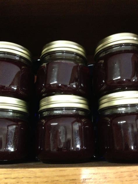 Muscadine Jelly Recipe Without Pectin | Besto Blog