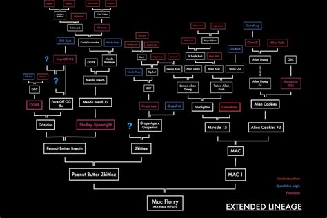 Fictional Family Tree of Isildur - Royal House of Arnor & Arthedain ...