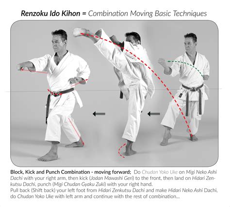 Renzoku Ido Kihon = Combination Moving Basic Techniques – A.Tanzadeh ...