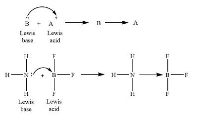 What are acids and bases according to Lewis theory? | Homework.Study.com