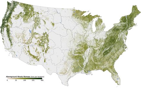 Forested Area in the United States | Amazing maps, Tree map, Forest map