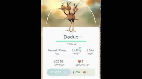 [Pokemon GO] Evolution My Pokemon! - Doduo - YouTube