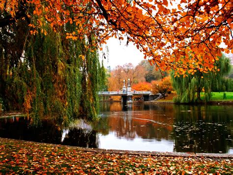 Where to see fall foliage without leaving the Boston area - Curbed Boston