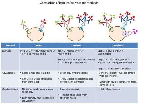 Tech Tip: Combined Direct and Indirect Immunofluorescence Using Primary Antibodies from the Same ...