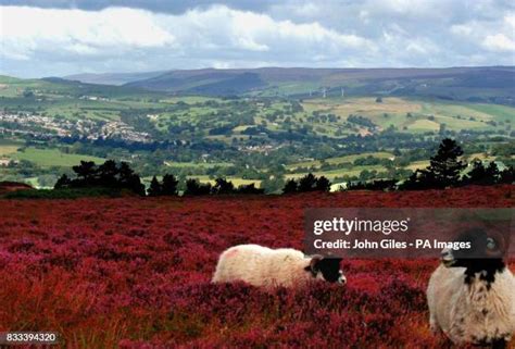 239 Ilkley Moor Stock Photos, High-Res Pictures, and Images - Getty Images