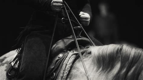 8 Types of Horseback Riding Disciplines You Should Know About - North ...