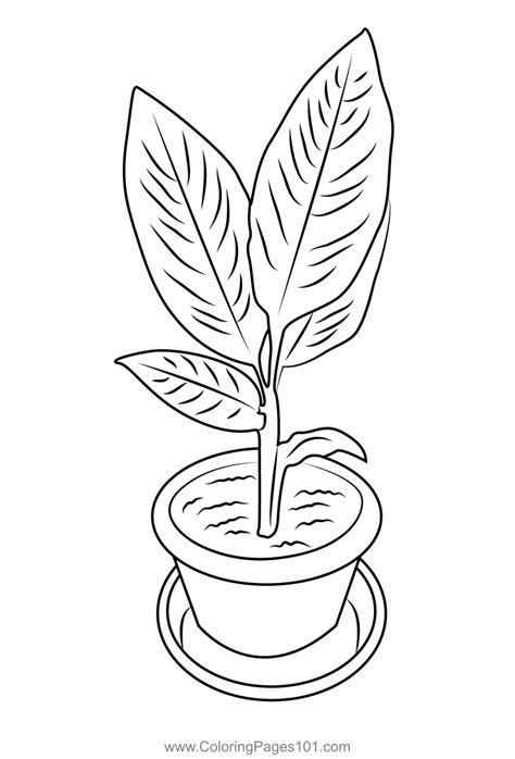 Letter Art Coloring Pages Plant B Coloring Pages Idea - vrogue.co