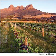 ABCs of South Africa (With images) | Wine images, Wine tasting experience