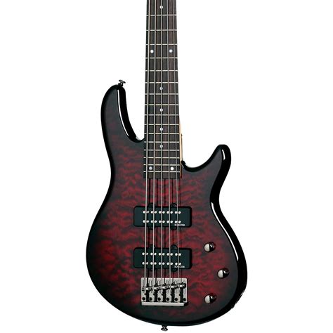 Schecter Guitar Research Raiden Special-5 5-String Electric Bass Guitar-OLD | Musician's Friend