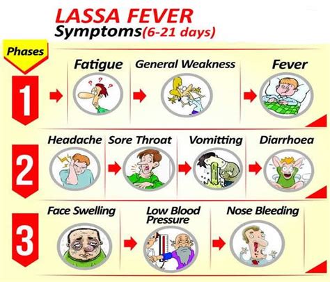 LASSA FEVER RECORDED IN NIGERIA – The News Purveyor!