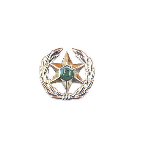 Israeli Border Police Badge Pin Insignia | ZAHAL