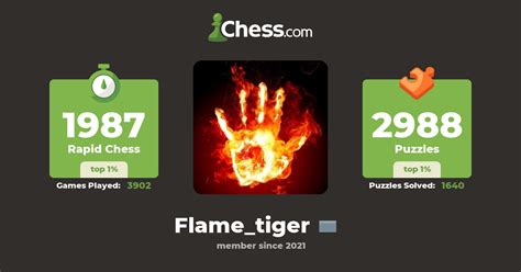 Matvey van Darkholme (Flame_tiger) - Chess Profile - Chess.com