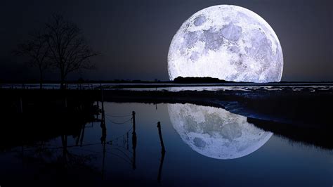 landscape, Lake, Trees, Night, Moon, Moonlight, Nature Wallpapers HD / Desktop and Mobile ...