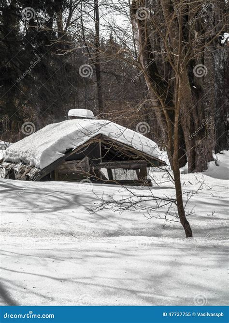 Old House in the Woods Covered with Snow Stock Image - Image of frozen, devastation: 47737755