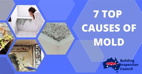 TOP 7 CAUSES OF MOLD IN HOUSES - Building Inspection Council