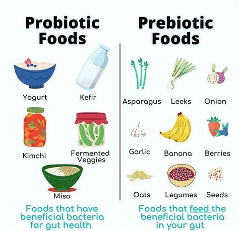 PROBIOTIC FOODS & PREBIOTIC FOOD | Gut health recipes, Prebiotic foods ...