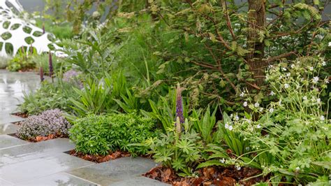 The Manchester Garden at RHS Chelsea Flower Show / RHS