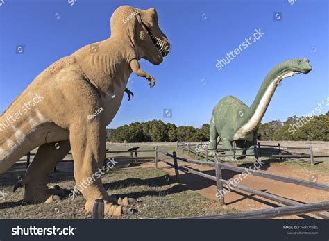 307 Dinosaur valley state park Images, Stock Photos & Vectors | Shutterstock