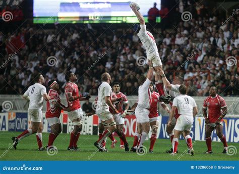 Line-out editorial stock photo. Image of grass, stadium - 13286068