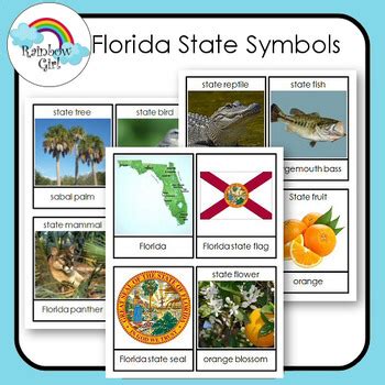 Florida State Symbols by Rainbow Girl | Teachers Pay Teachers | State symbols, Florida, Florida ...