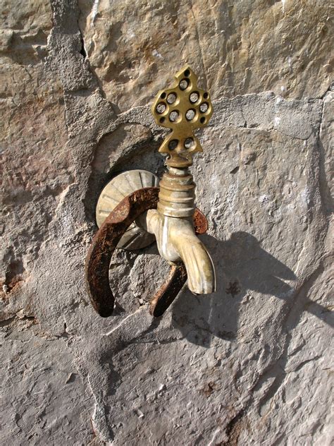 Free Images : wood, stone, fauna, crane, detail, carving, horseshoe ...