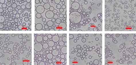 Influence of emulsifiers with different HLB values on emulsions... | Download Scientific Diagram