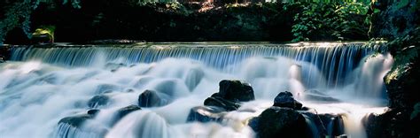 Waterfall In A Forest, Aberfeldy Birks Photograph by Panoramic Images ...