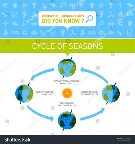 Vector Infographic - Cycle Of Seasons - 112603700 : Shutterstock