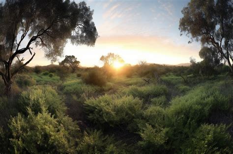 Premium AI Image | Sunset in the Australian outback