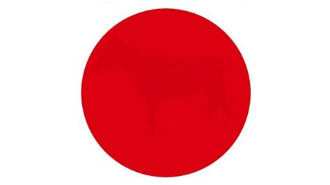 What do you see in the red dot? This optical illusion has people going ...