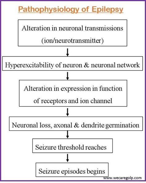 Epilepsy: Types of Seizures, Treatment of Epilepsy - We Care