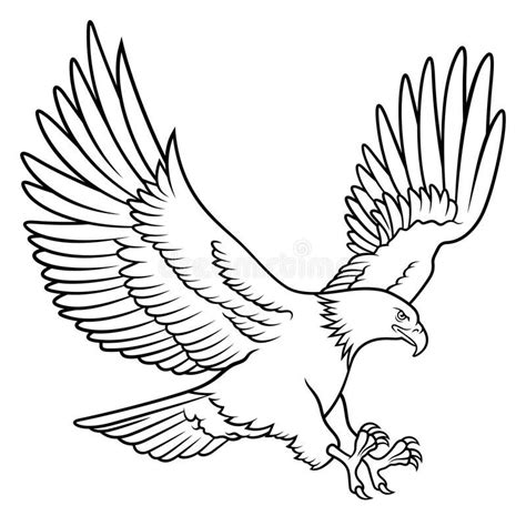 Bald Eagle 009 stock vector. Illustration of bald, american - 113570467 | Eagle silhouette ...