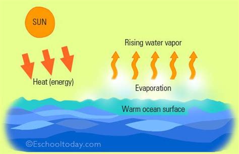 Water cycle, Evaporation, Primary science