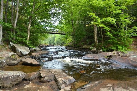 Arrowhead Provincial Park Ontario Canada | Ontario parks, Adventure is out there, Places to visit