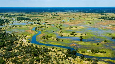 Voyage Okavango : Votre circuit safari sur mesure | Tourlane