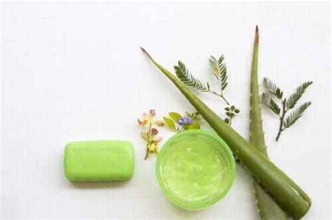 How to Make Moisturizing Aloe Vera Soap - Step To Health