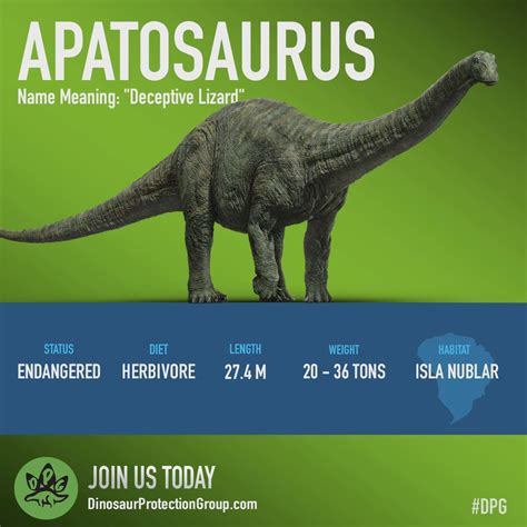 Apatosaurus sp. (S/F) – Jurassic-Pedia