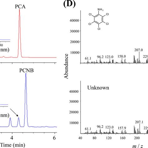 Transformation of hexachlorobenzene (HCB) by recombinant Escherichia ...